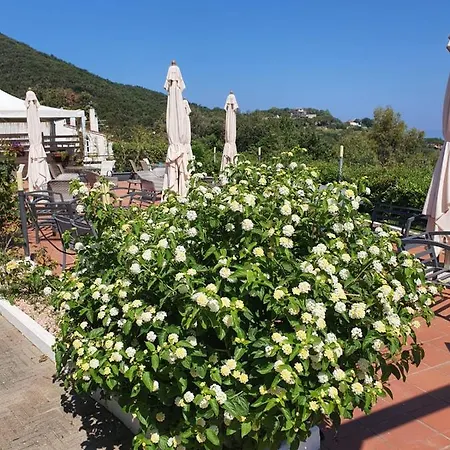 Acquaviva Park Bed & Breakfast Portoferraio